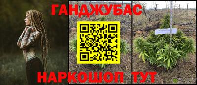 a pvp Кимры